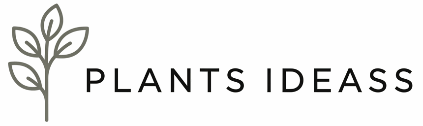 Plants Ideas